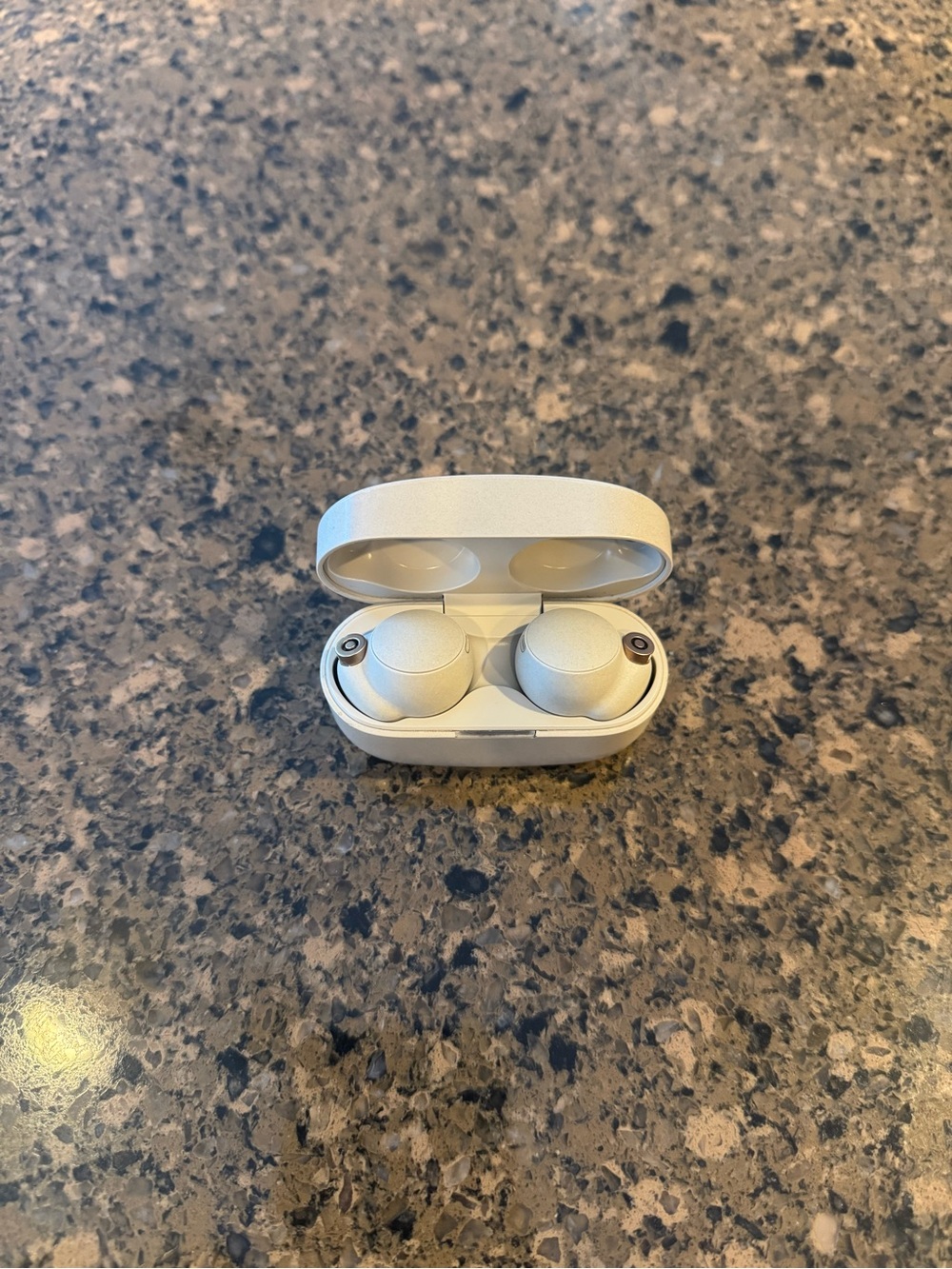 Sony WF-1000XM4 Wireless Earbuds